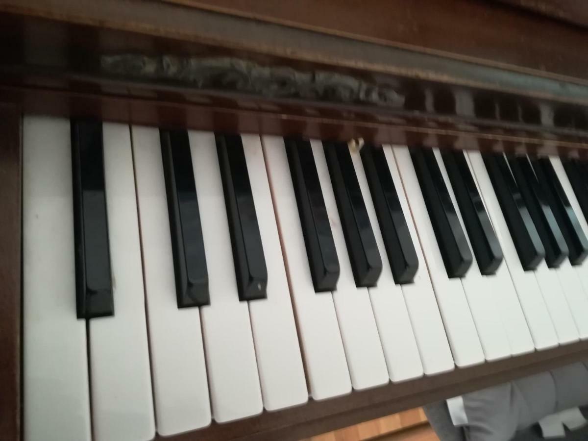 The Piano Apartment 자발라티카 외부 사진